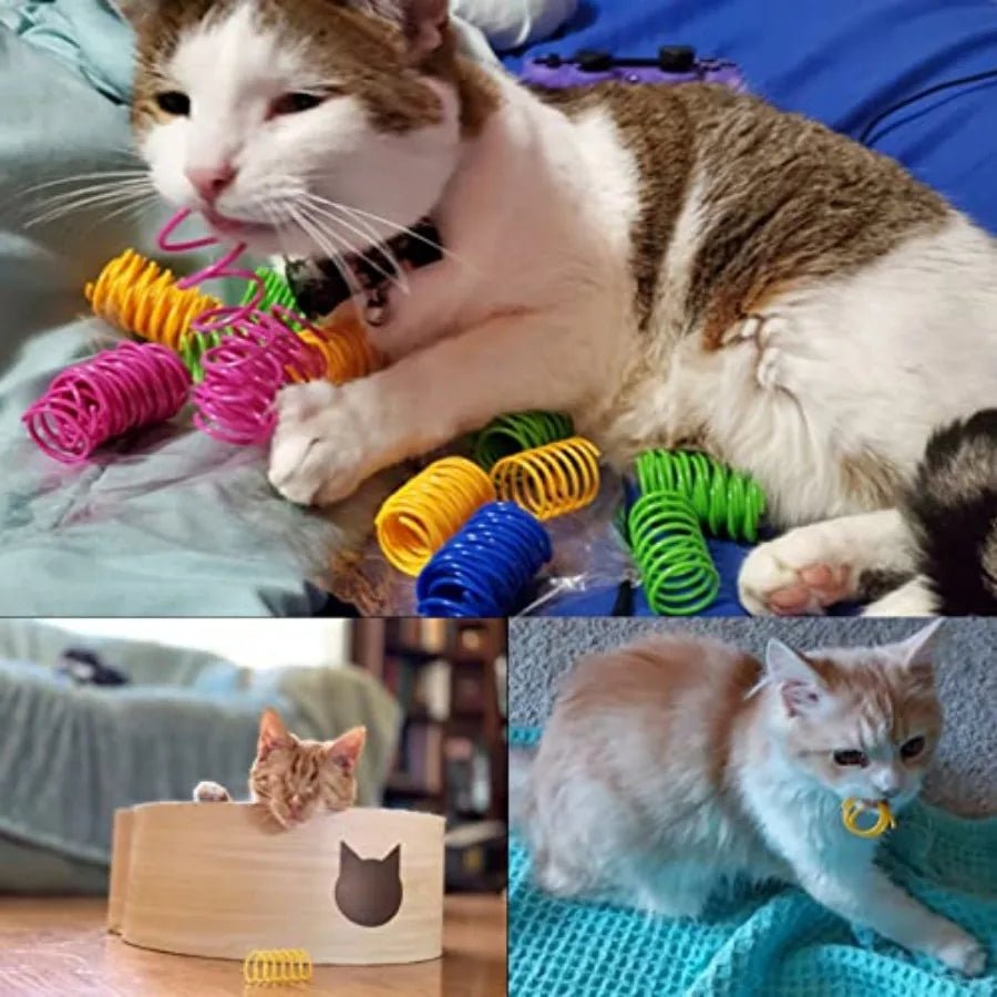 4pcs Kitten Cat Toys Wide Durable Heavy Gauge Cat Spring Toy Colorful Springs Cat Pet Toy Coil Spiral Springs Pet Intera - Bargain Warriors LLC
