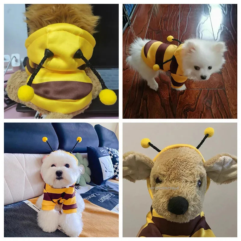 Bee Costume for Pets - Adorable Cozy Hoodie for Dogs & Cats