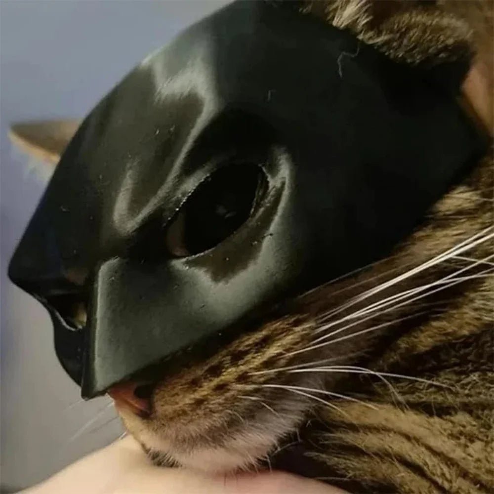 Adorable Cat Halloween Bat Mask – Transform Your Feline into a Spooky Sensation - Bargain Warriors LLC