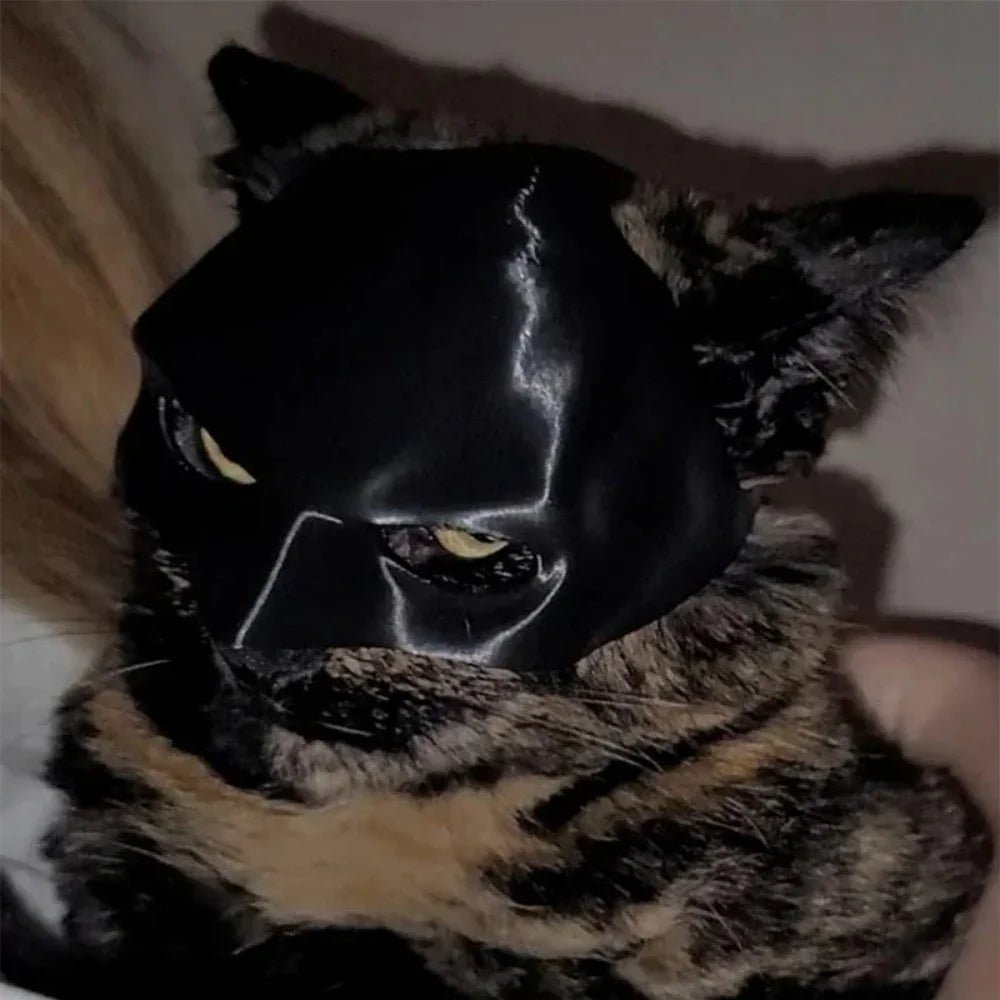 Adorable Cat Halloween Bat Mask – Transform Your Feline into a Spooky Sensation - Bargain Warriors LLC