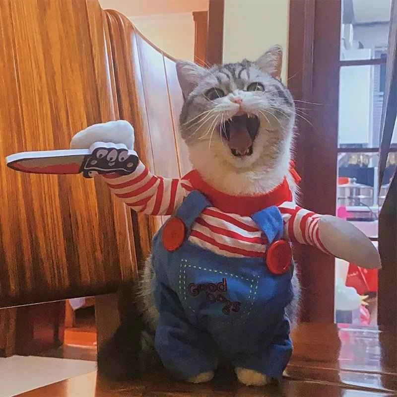 Funny Cat Halloween Costumes: Creative and Cozy Outfits for Your Furry Friends