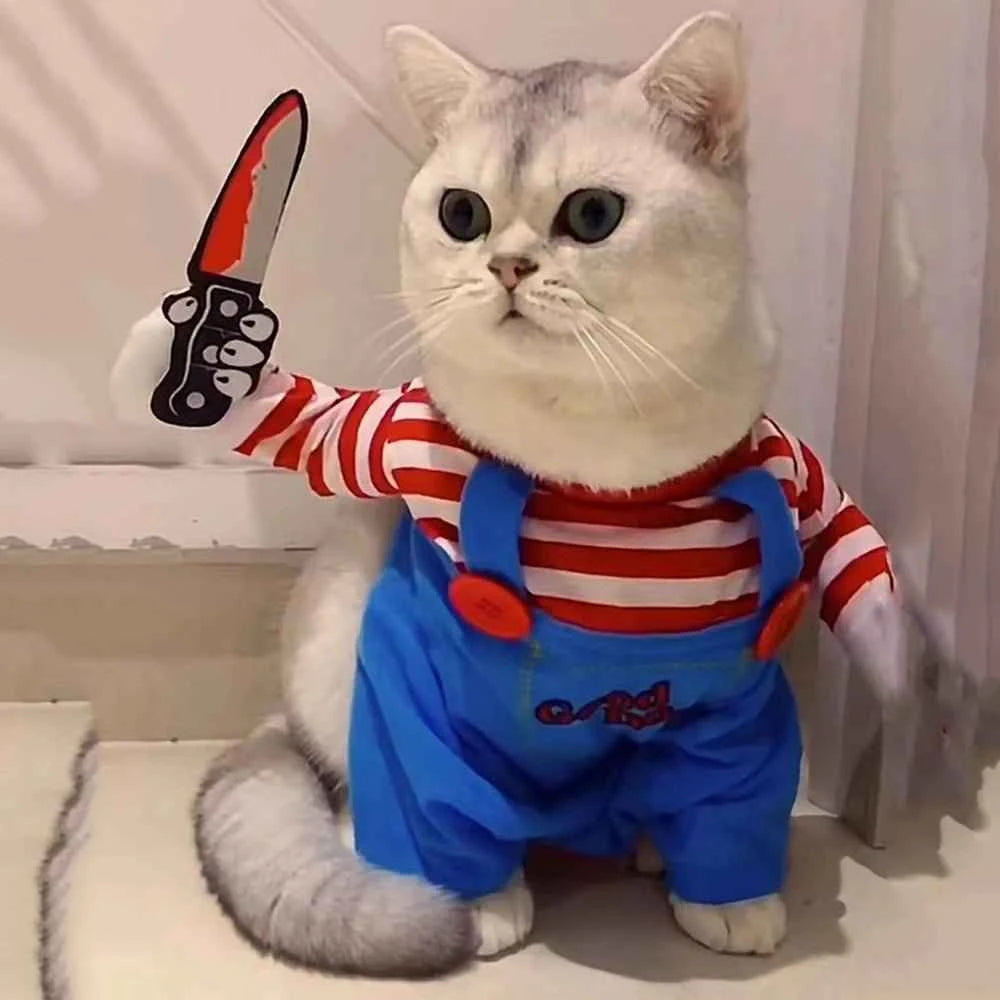 Funny Cat Halloween Costumes: Creative and Cozy Outfits for Your Furry Friends
