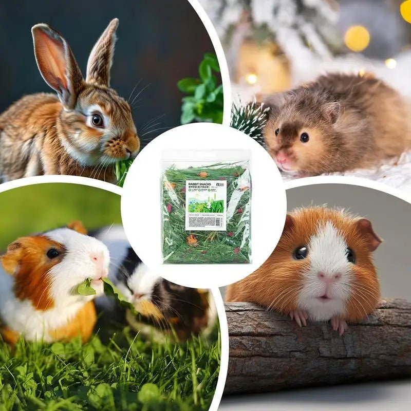Natural Hay Bedding for Small Pets - Comfort and Nutrition for Happy Rabbits - Bargain Warriors LLC