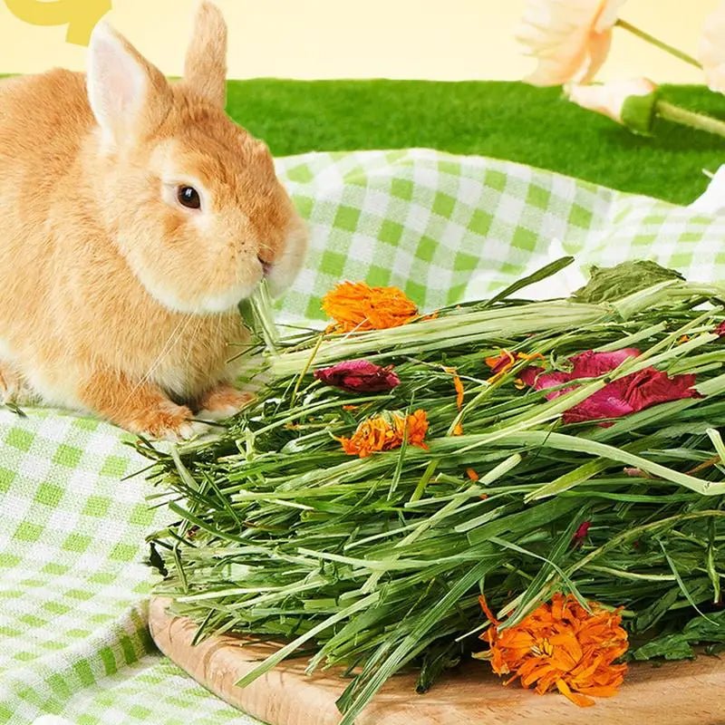 Natural Hay Bedding for Small Pets - Comfort and Nutrition for Happy Rabbits - Bargain Warriors LLC