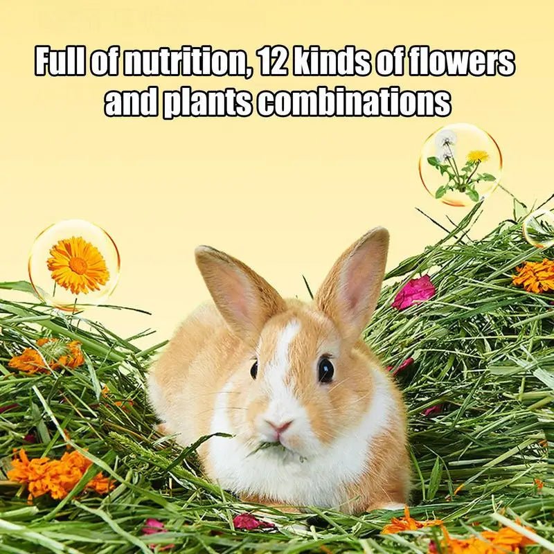 Natural Hay Bedding for Small Pets - Comfort and Nutrition for Happy Rabbits - Bargain Warriors LLC