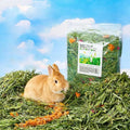Natural Hay Bedding for Small Pets - Comfort and Nutrition for Happy Rabbits - Bargain Warriors LLC