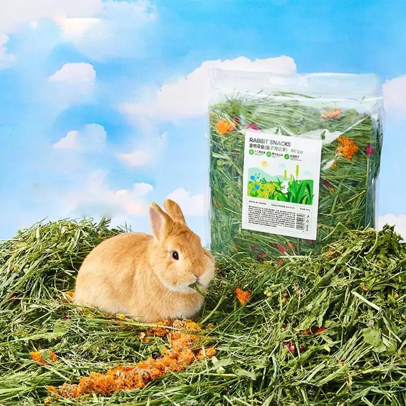 Natural Hay Bedding for Small Pets - Comfort and Nutrition for Happy Rabbits - Bargain Warriors LLC