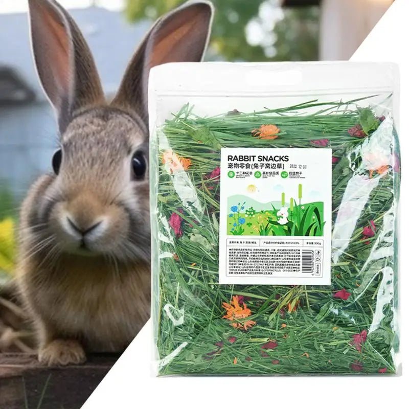 Natural Hay Bedding for Small Pets - Comfort and Nutrition for Happy Rabbits - Bargain Warriors LLC