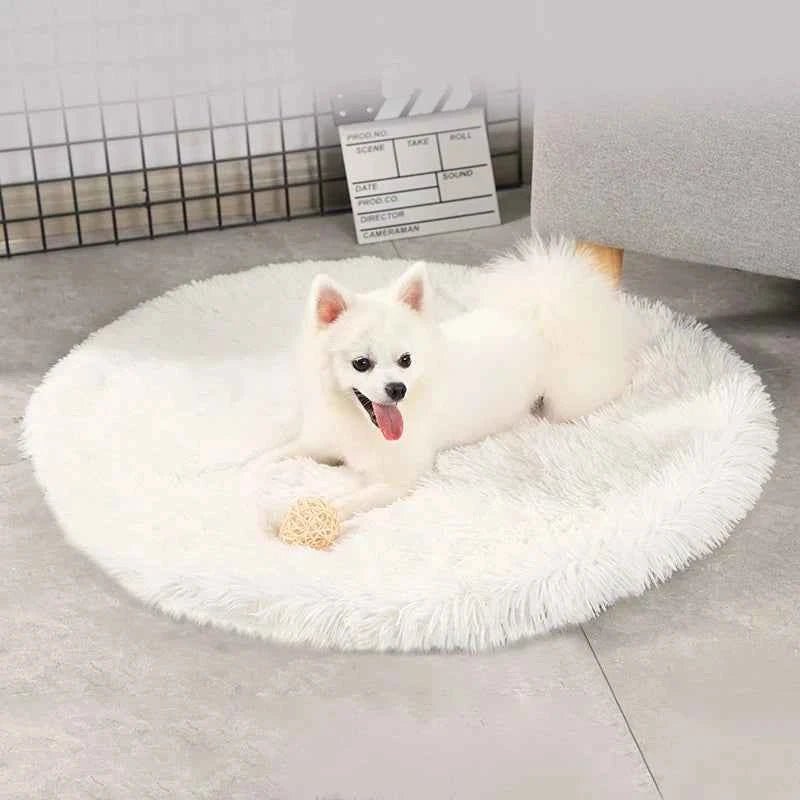Plush Round Cat Bed Mats Pet Bed for Cats Small Dogs Soft Fleece Pet Sleeping Mat Kitten Puppy Nest Pet Cushion Cat Accessories - Bargain Warriors LLC