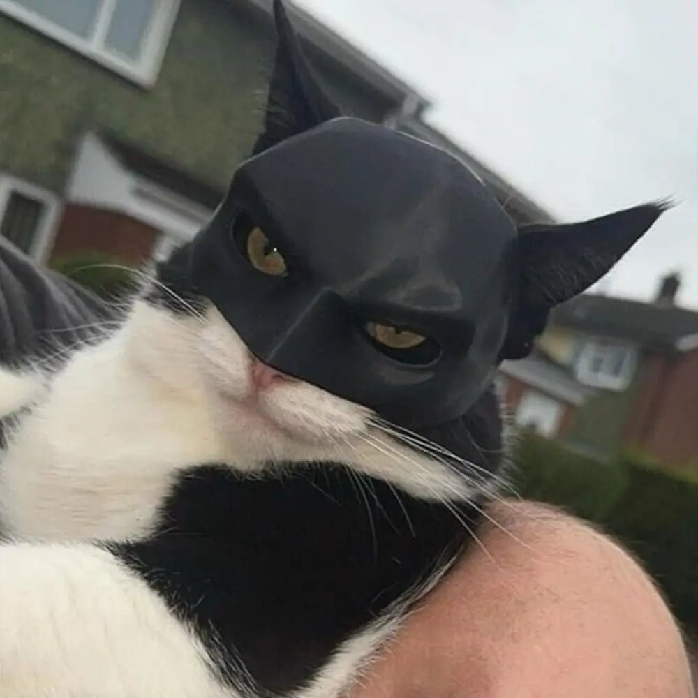 Transform Your Pet into a Hero with Our Adorable Bat Mask for Cats and Dogs - Bargain Warriors LLC