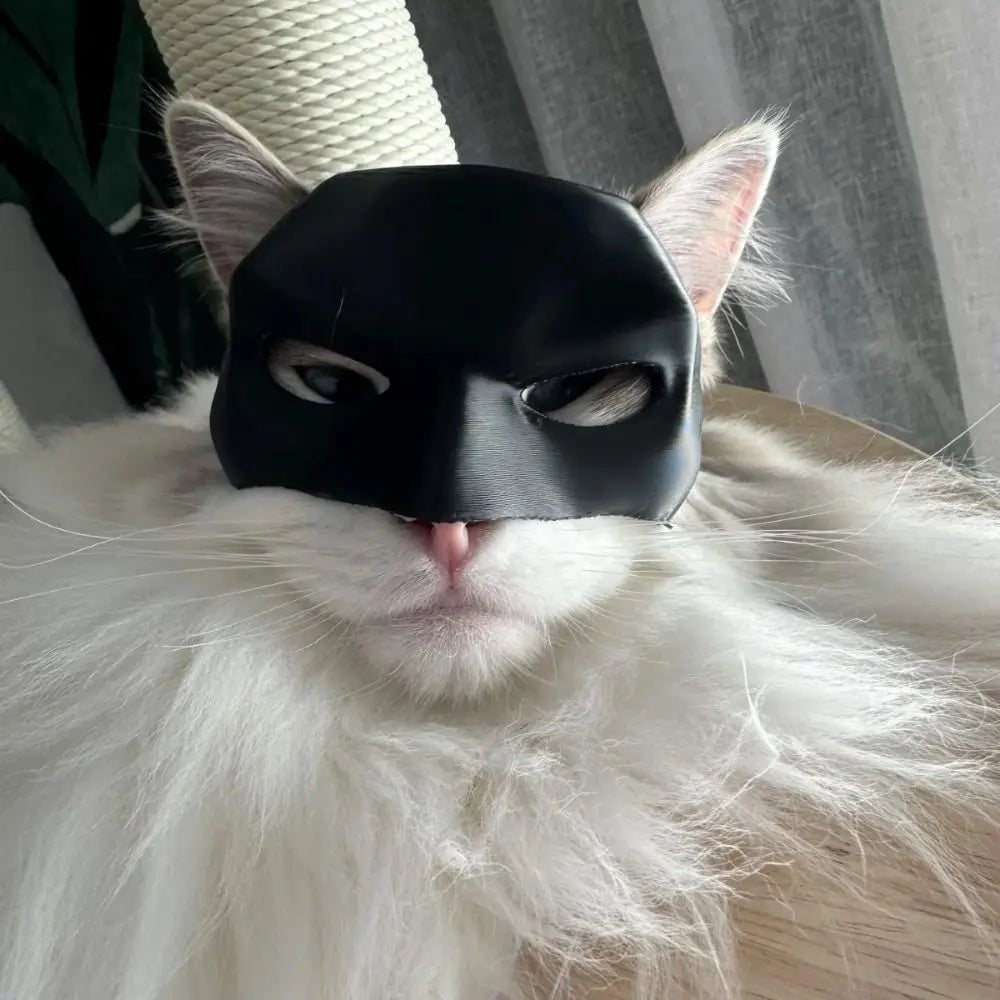 Transform Your Pet into a Hero with Our Adorable Bat Mask for Cats and Dogs - Bargain Warriors LLC