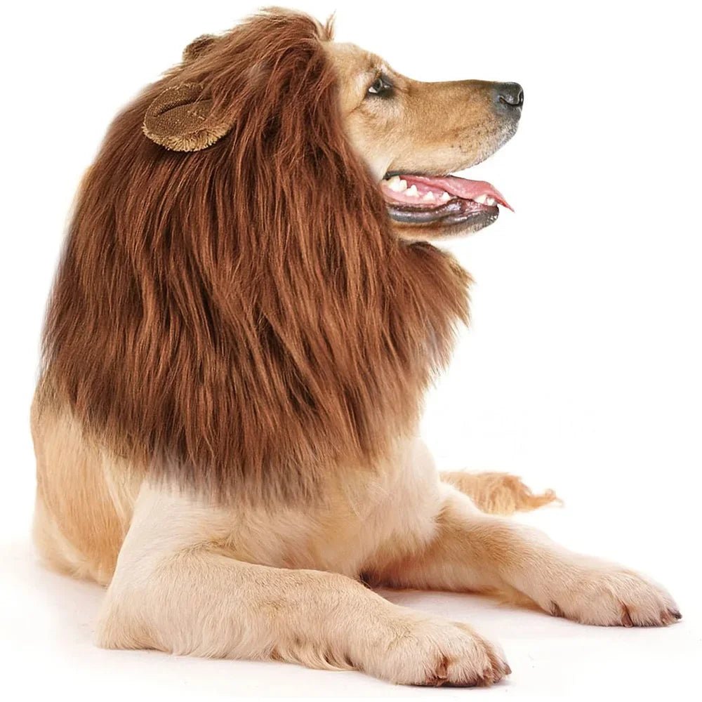 Transform Your Pup with the Lion Mane Dog Costume – The Ultimate Pet Accessory - Bargain Warriors LLC