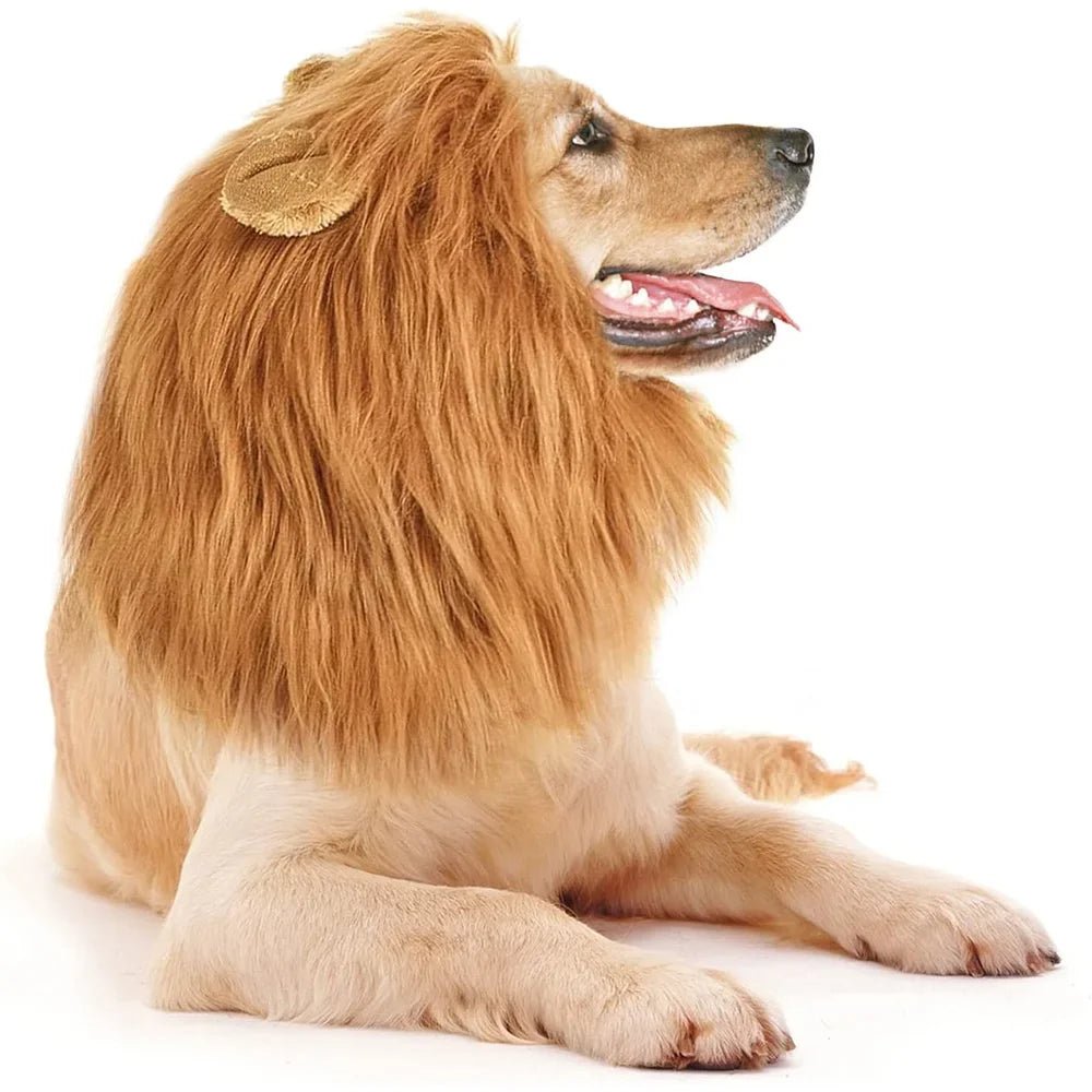Transform Your Pup with the Lion Mane Dog Costume – The Ultimate Pet Accessory - Bargain Warriors LLC